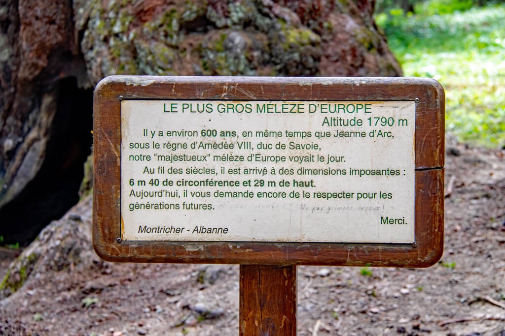 Le Gros Mélèze Montricher-Albanne