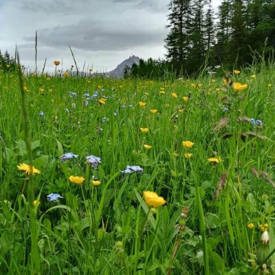 Paysage Montricher-Albanne