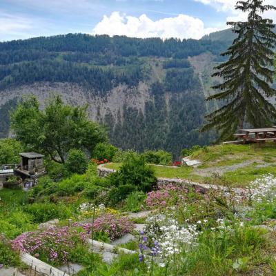 Paysage Montricher-Albanne